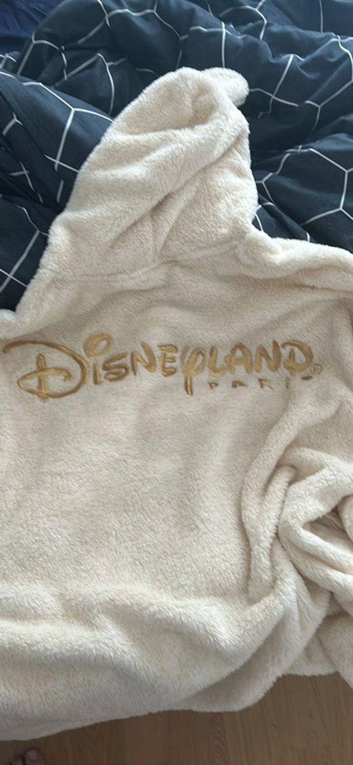 Pilou pilou Disneyland - photo numéro 2