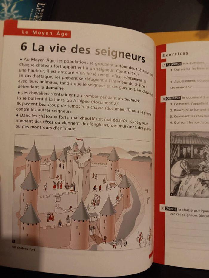 Lot manuel d'histoire - photo numéro 7