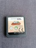 Jeu Nintendo DS SIMS2 Castaway