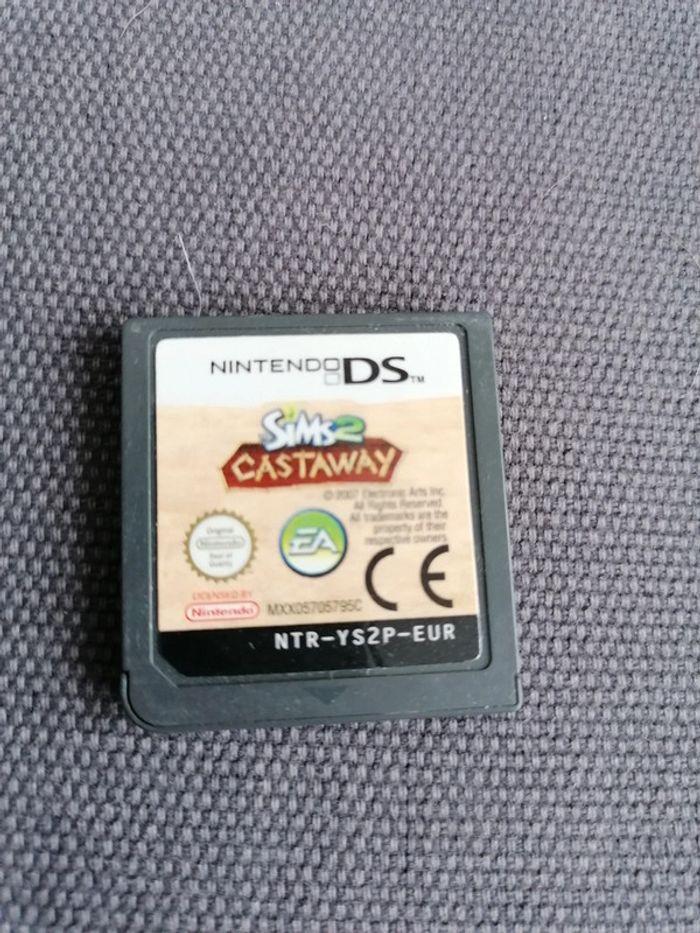 Jeu Nintendo DS SIMS2 Castaway - photo numéro 1