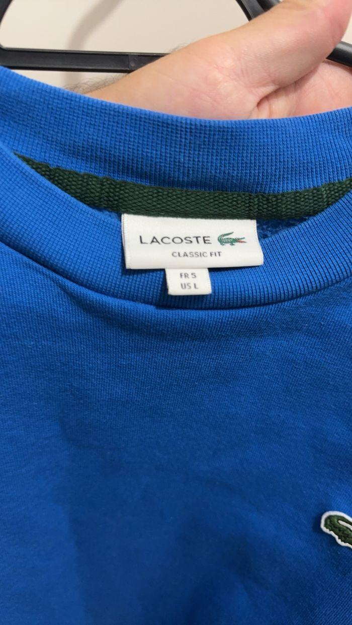 Pull Lacoste - photo numéro 3