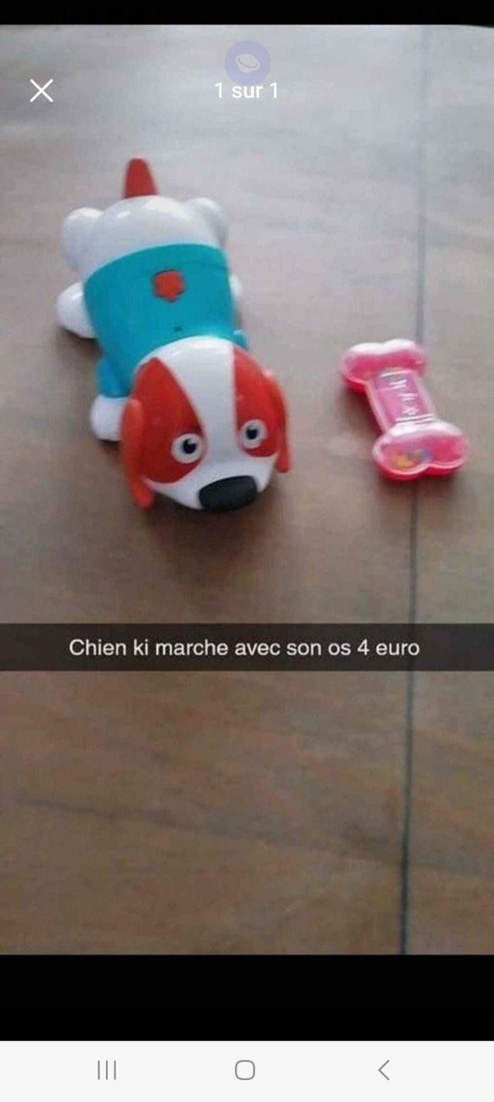 Chien qui marche avec son os