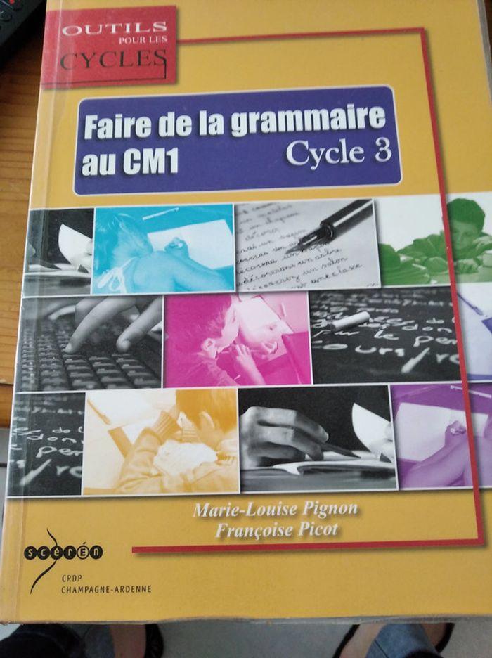 Faire de la grammaire au CM1 - photo numéro 1