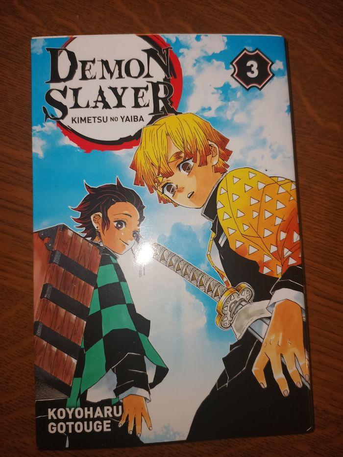 Démon slayer tome 3 - photo numéro 1