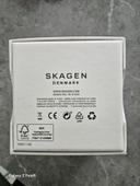 Montre Skagen pour homme