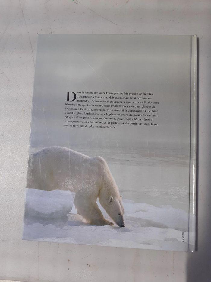 Livre sur l'ours blanc d'Atlas Junior - photo numéro 2