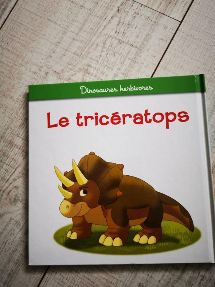 Livre le Triceratops - photo numéro 3