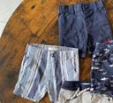 Lot 2 shorts