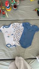 Lot 3 bodies Petit bateau 9 mois