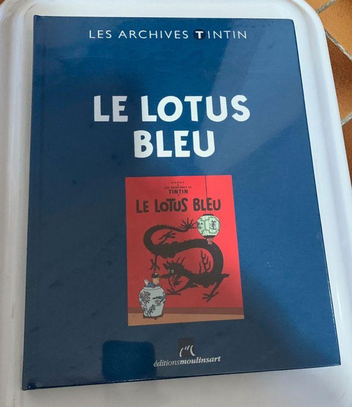 Livre les archives de Tintin