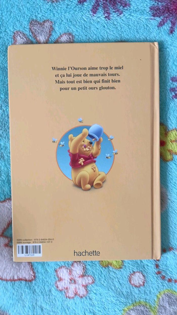 Livre disney - photo numéro 2