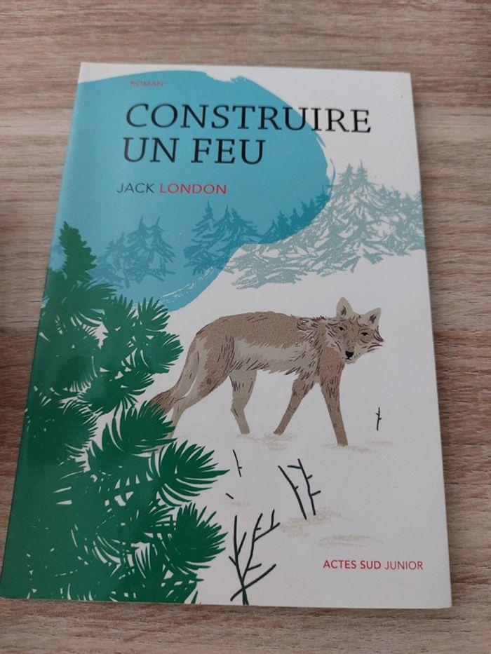 Livre construire un feu - photo numéro 1