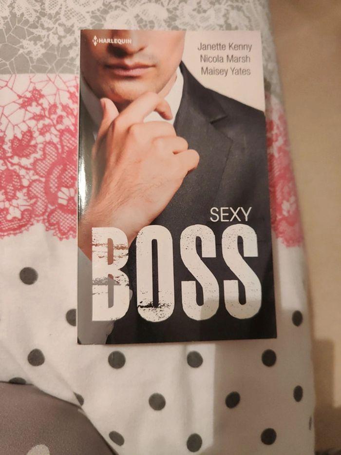 Sexy boss - photo numéro 1