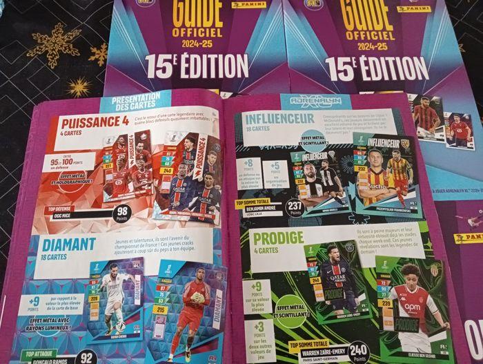 Albums panini foot - photo numéro 2