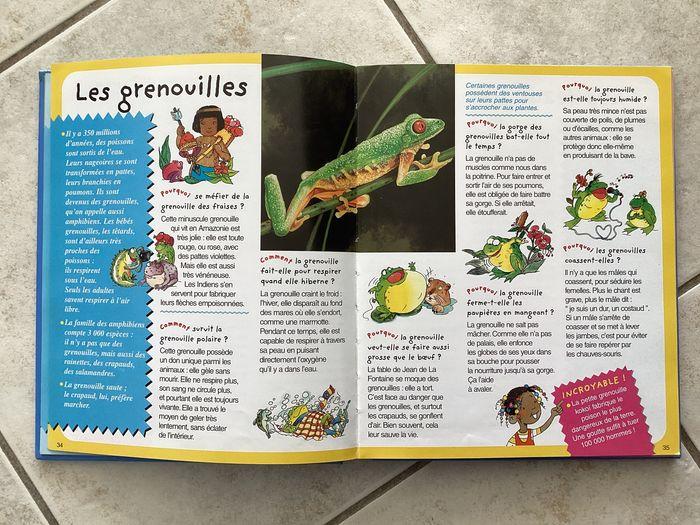 Livre enfants l'imagerie: les animaux - photo numéro 3