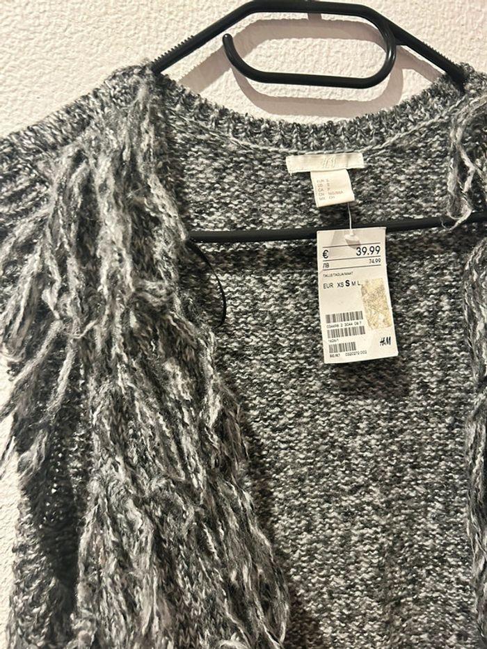 Veste sans manches H&M à poils longs grise - photo numéro 1