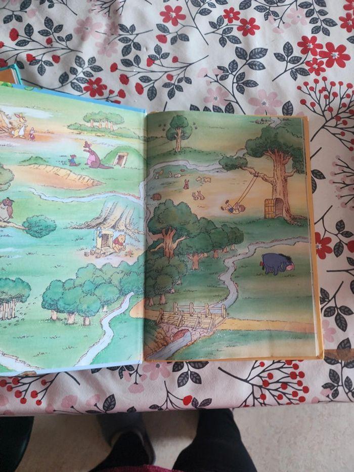 Livre winnie l'ourson et l'arbre à miel - photo numéro 3