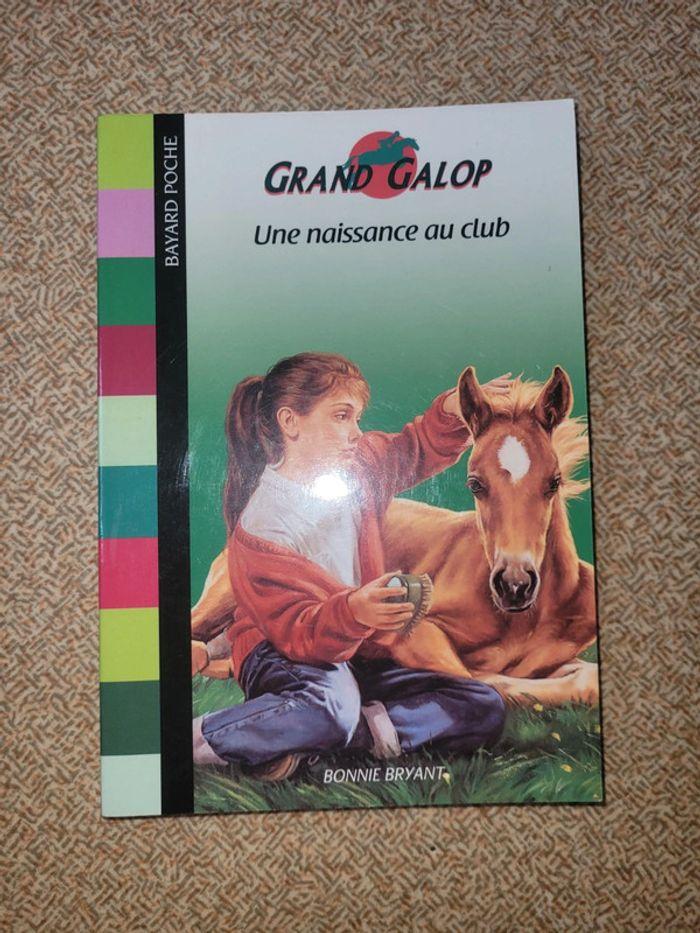 Grand galop - photo numéro 1