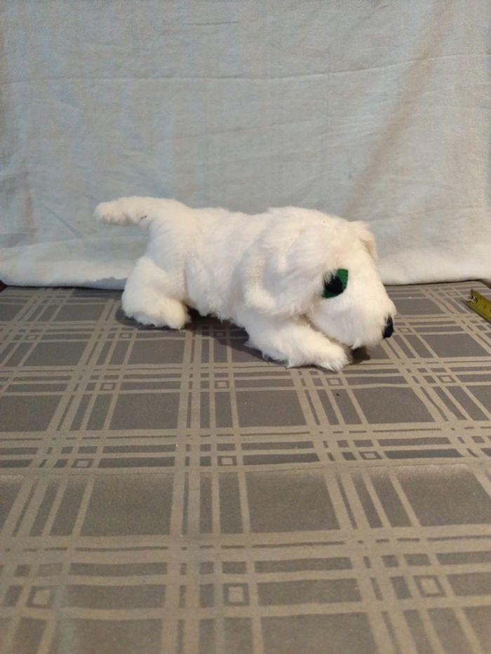 Peluche chien blanc - photo numéro 2