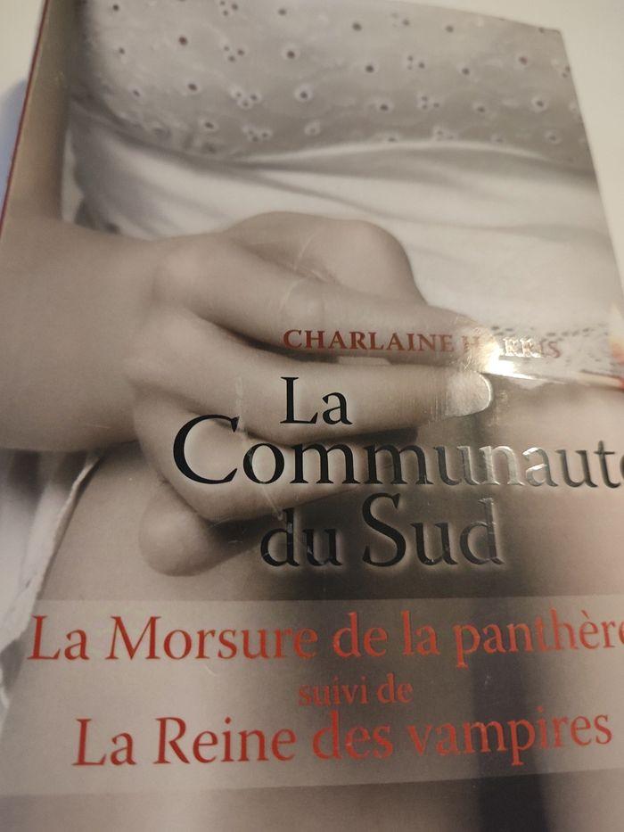 Livre "La Communauté du Sud" tomes 5 et 6 - photo numéro 7