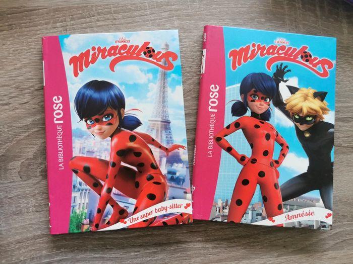 Livre miraculous - photo numéro 1