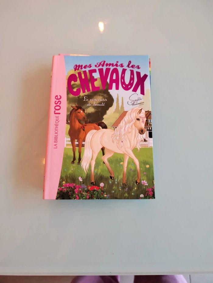 Mes amis les chevaux tome 10 - photo numéro 1