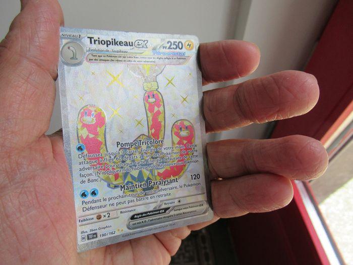 Carte Pokémon Triopikeau ex 190/162 - photo numéro 3