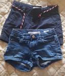 Lots de 2 shorts  tiffosi