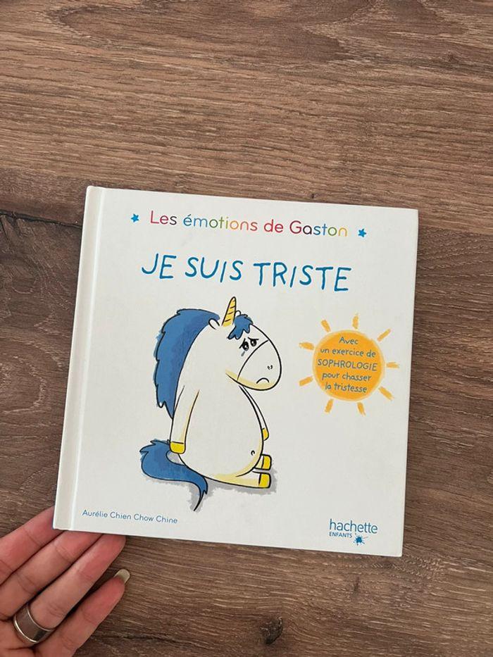 Les émotions de Gaston « je suis triste  » - photo numéro 1