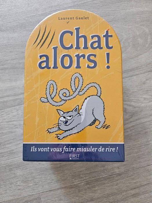 Jeu Chat Alors