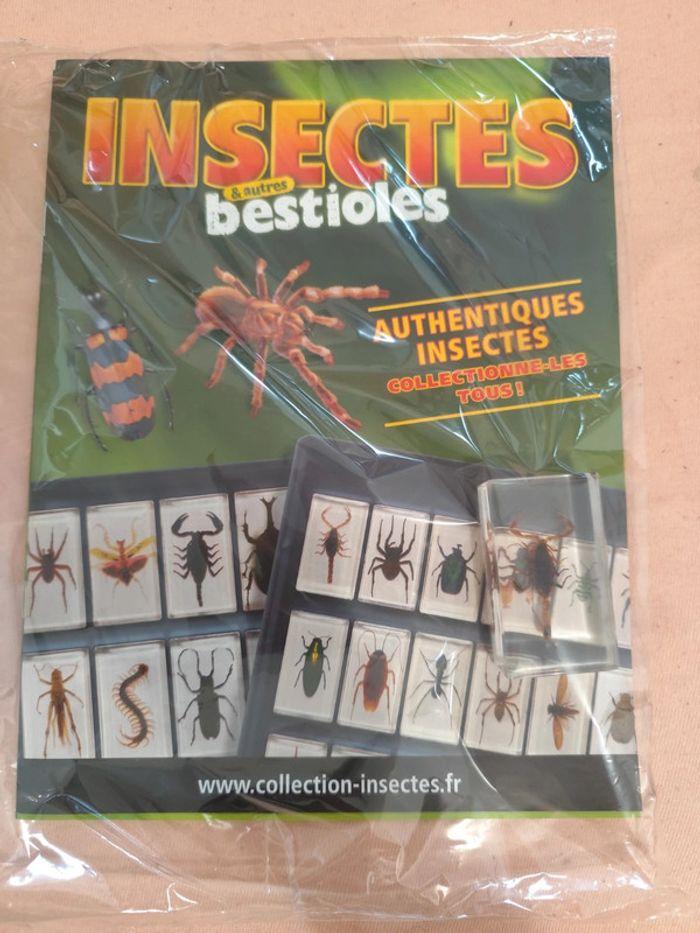 Insectes et autres bestioles n° 1.2.3.4.5.6.7 - photo numéro 1