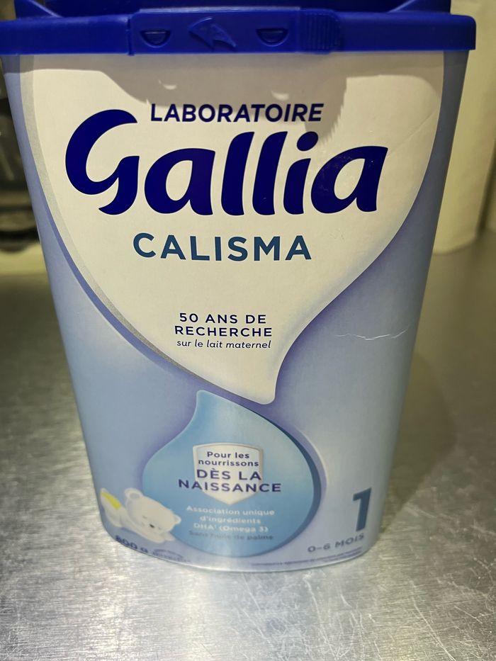 Gallia calisma - photo numéro 1