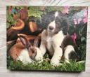 Puzzle 100 pièces chien et lapin MB