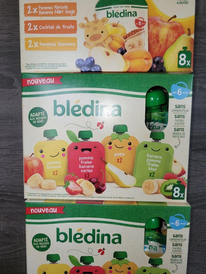 Gros lots de gourdes compotes bledina 2 variétés différentes des 6/8 mois - photo numéro 3