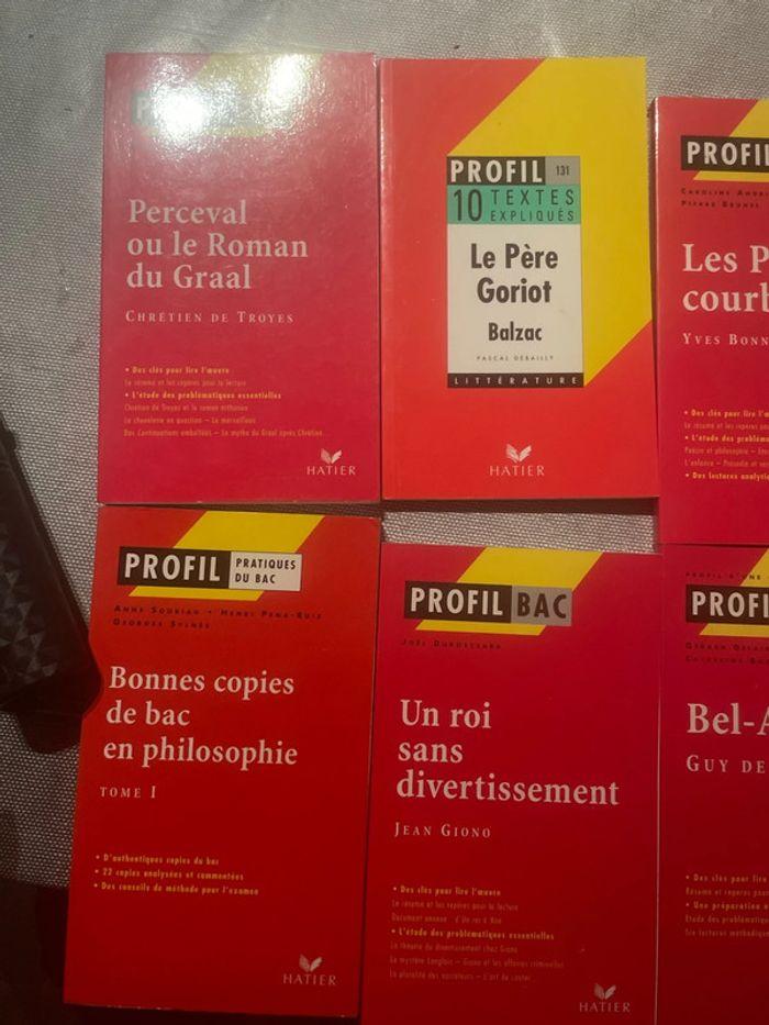 Lot de 10 profils bacs - photo numéro 2