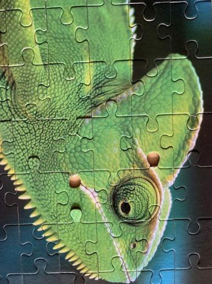 Puzzle animaux 4*100 pièces animaux exotiques - photo numéro 7