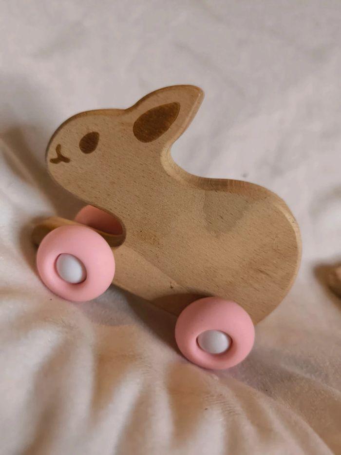 Lapin - photo numéro 1