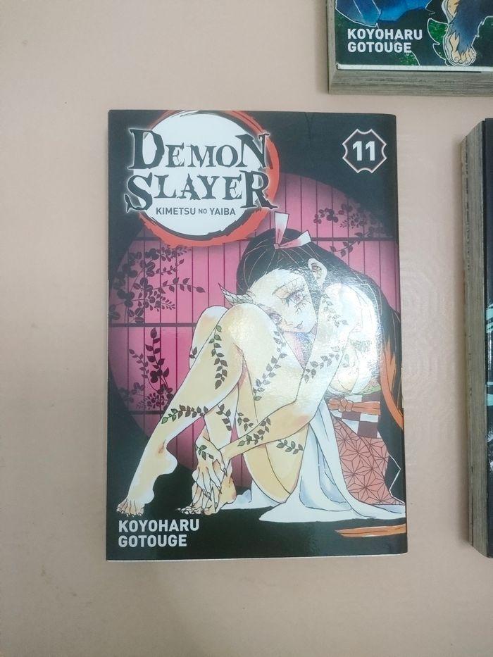 Démon slayer 11 mangas - photo numéro 5