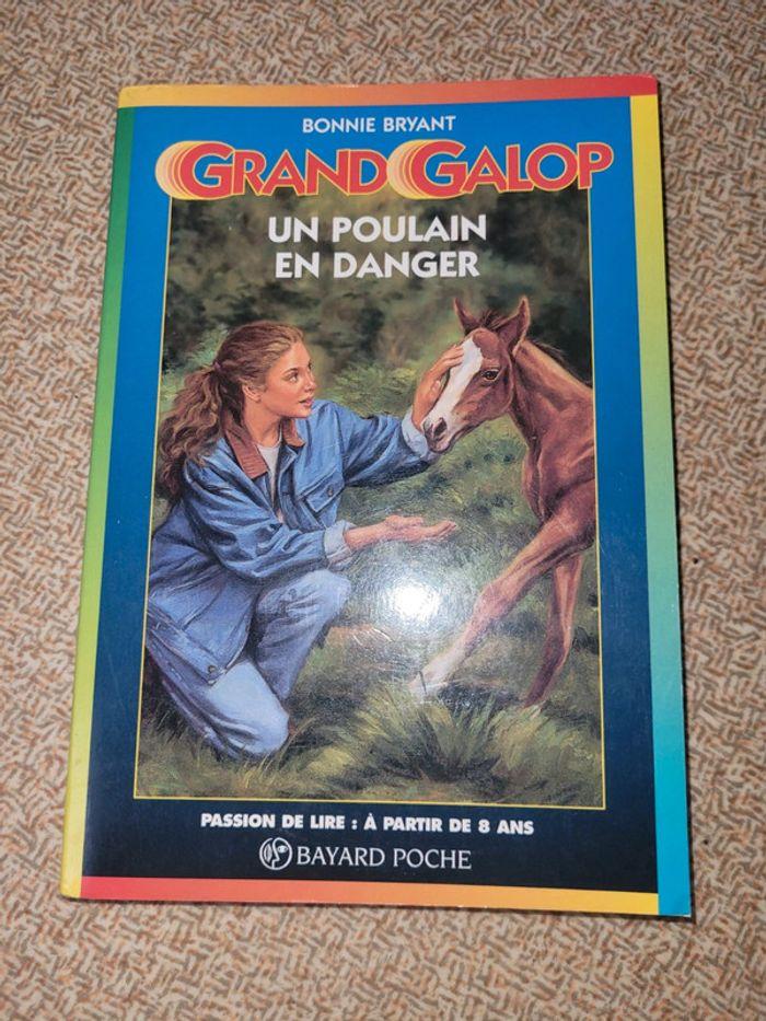 Grand galop - photo numéro 1