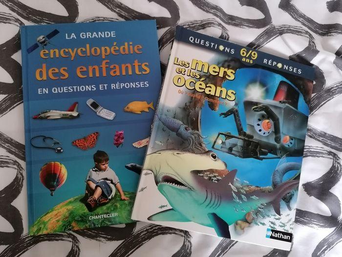 Apprendre la terre, les mers, les océans... - photo numéro 1