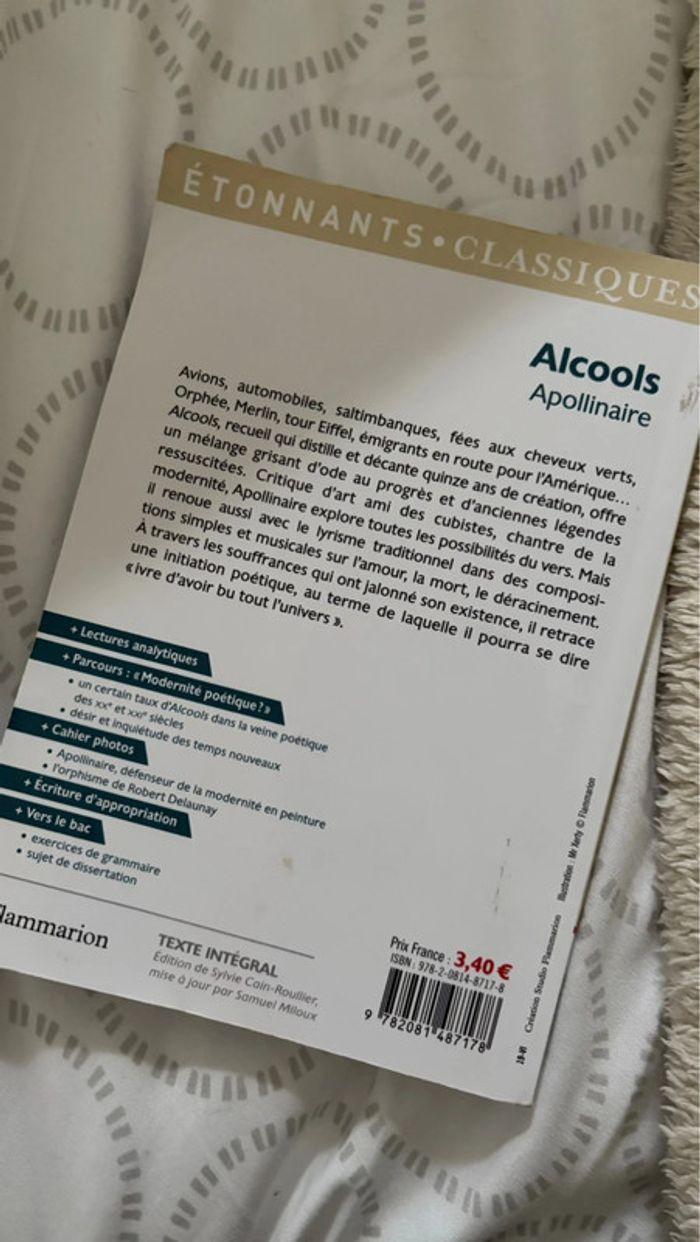 Livre Alcools Apollinaire / bac de français - photo numéro 2