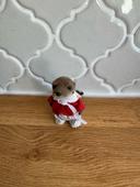 Sylvanian families vintage rare loutre