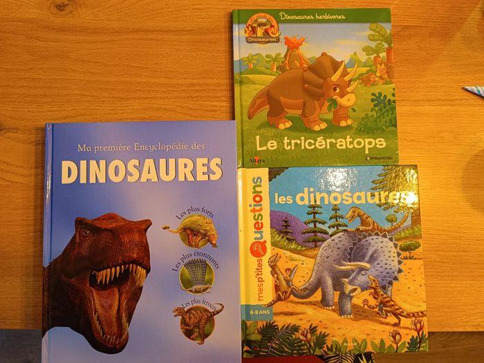 Livres sur les dinosaures - photo numéro 1