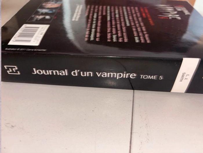 Lots livres le journal d’un vampire - photo numéro 11