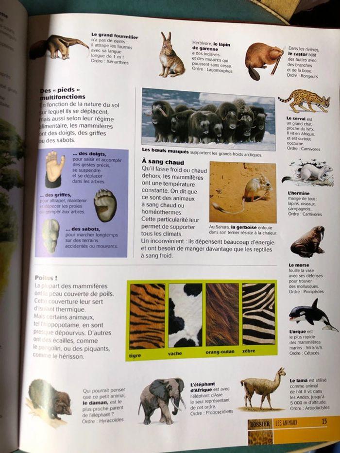 Livre Dokéo animaux pour les 9:12 ans - photo numéro 4