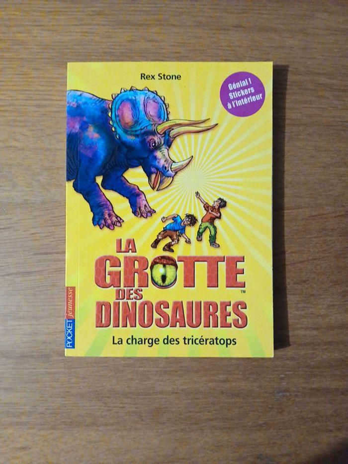 Lot la grotte des dinosaures - photo numéro 2