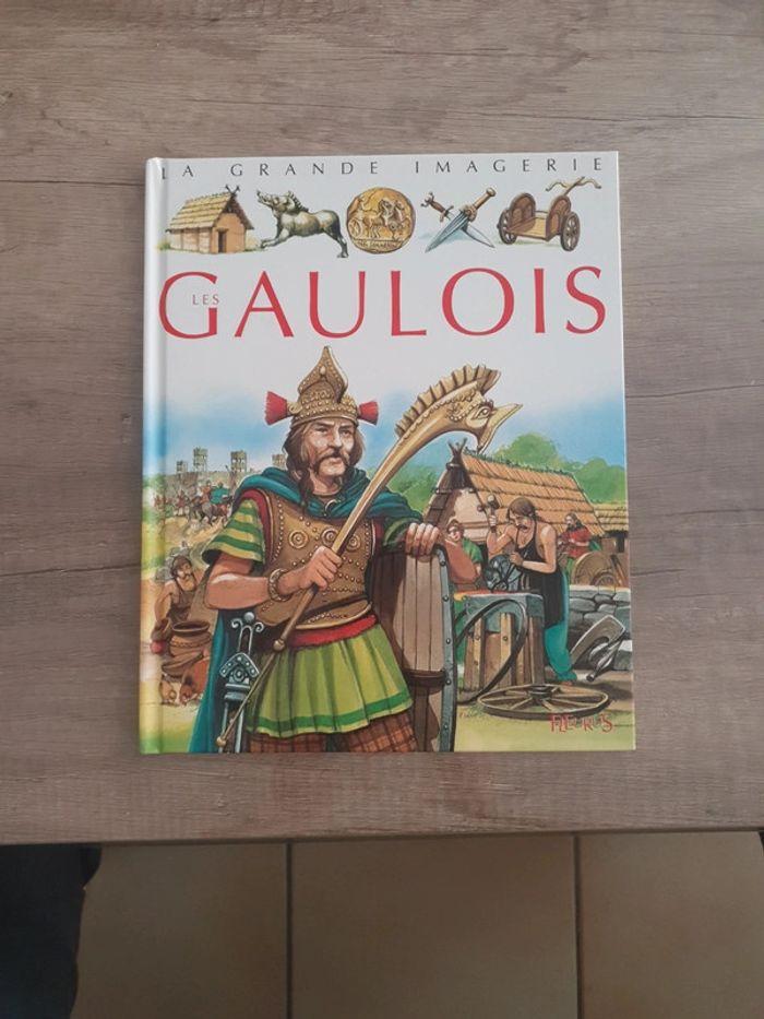 La grande imagerie les gaulois - photo numéro 1