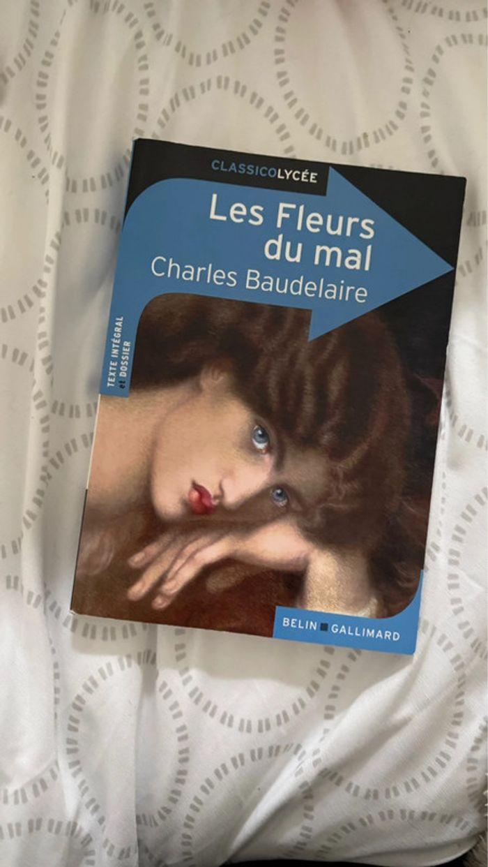 Les fleurs du mal Charles Baudelaire / livre de poche - photo numéro 1