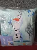 Coussin reine des neige