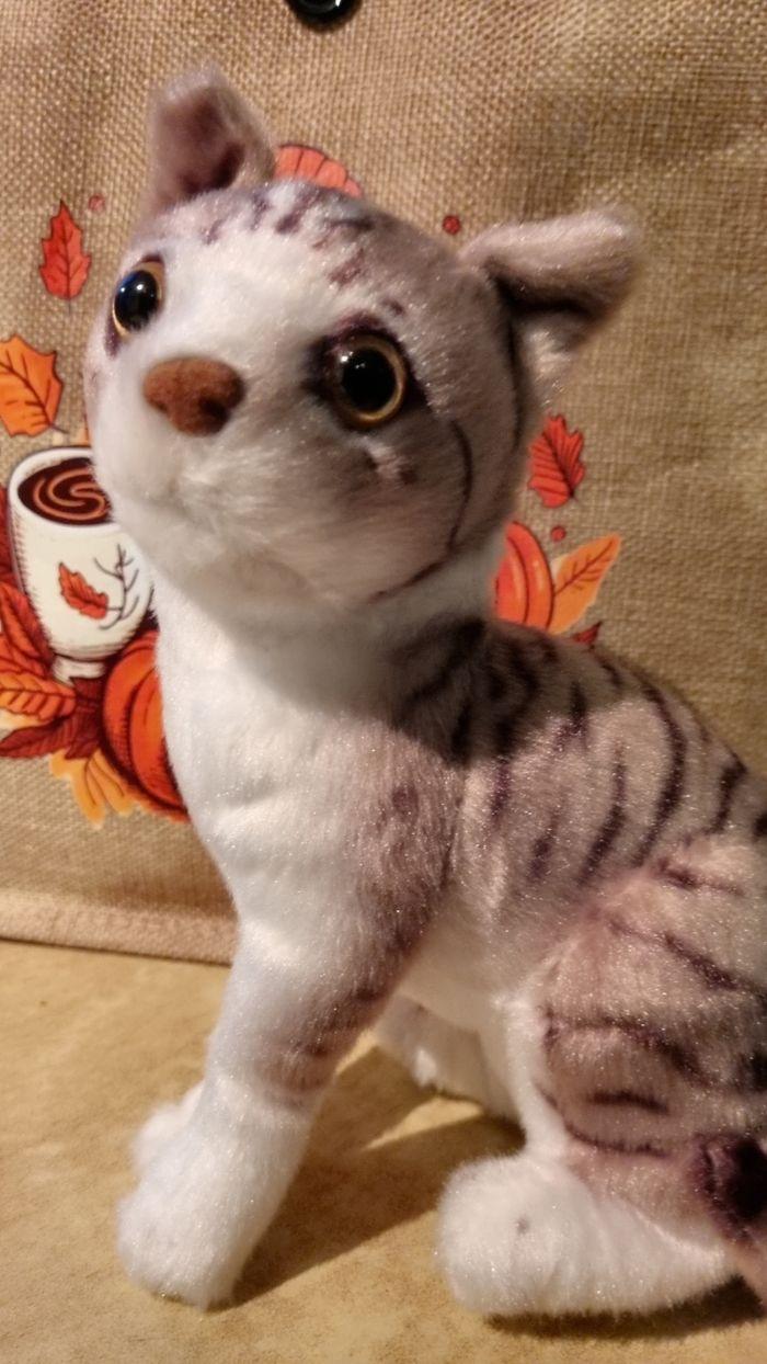 Peluche chat - photo numéro 4